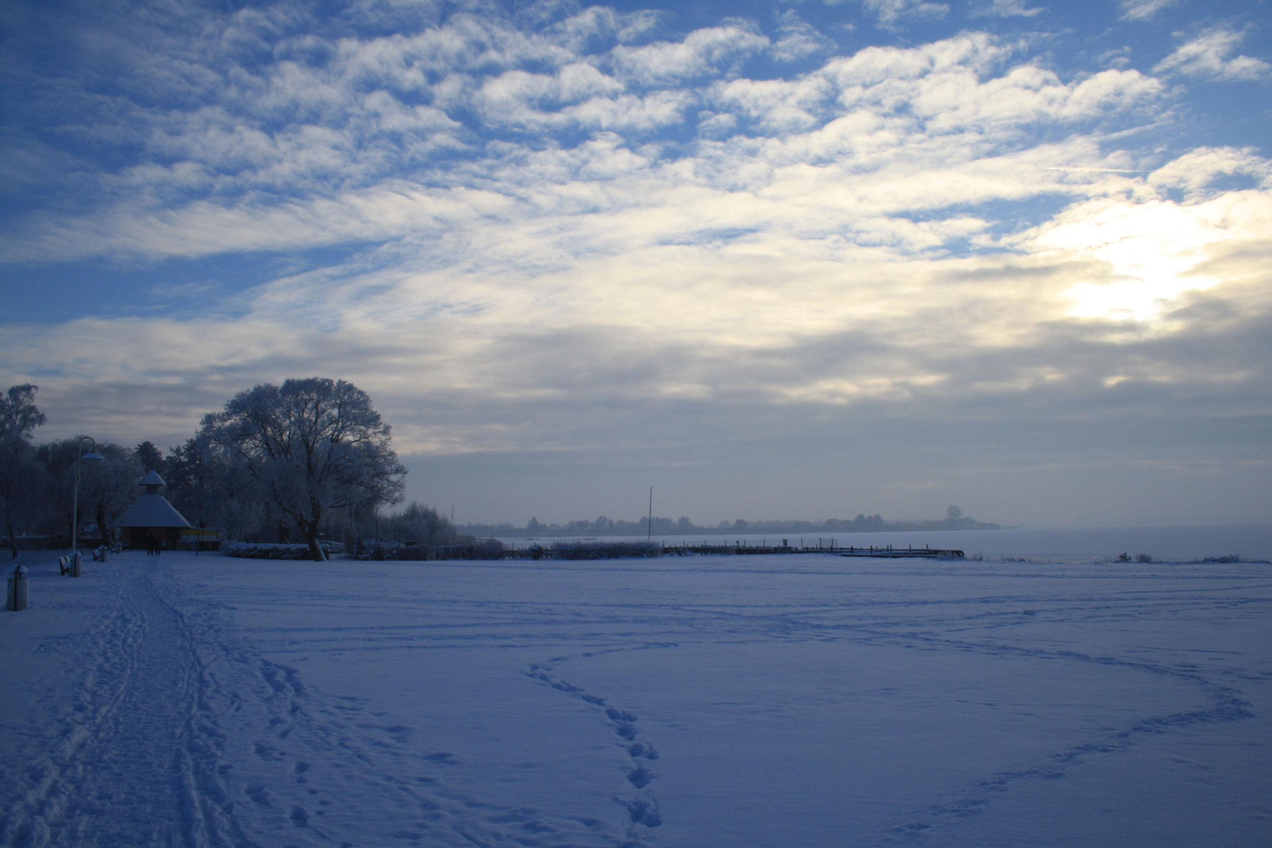 Blick vom Deich auf den zugefrorenen Dümmer See mit Schnee